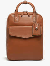 Sac à Dos Business Flandres 1 Compartiment Cuir Etrier Marron flandres EFLA8271