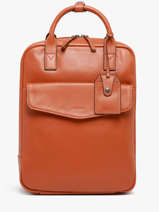 Sac à Dos Business Flandres 1 Compartiment Cuir Etrier Orange flandres EFLA8271