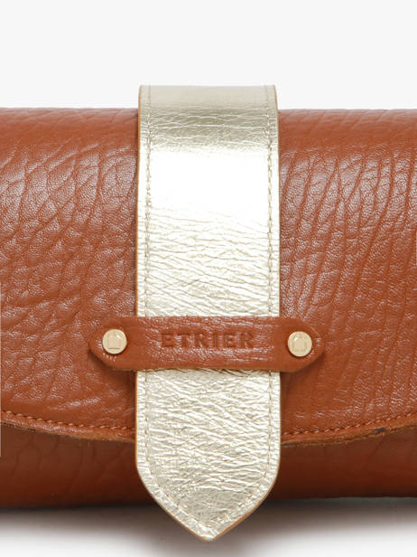 Sac Bandoulière S Agnes Cuir Etrier Marron agnes EAGC205S vue secondaire 4